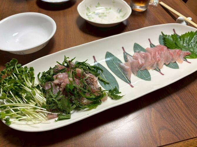 タカノハダイの焼き切りと刺身