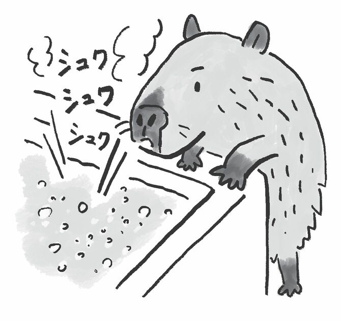 お風呂の入浴剤が溶ける様子を眺める小さなイノシシのイラスト